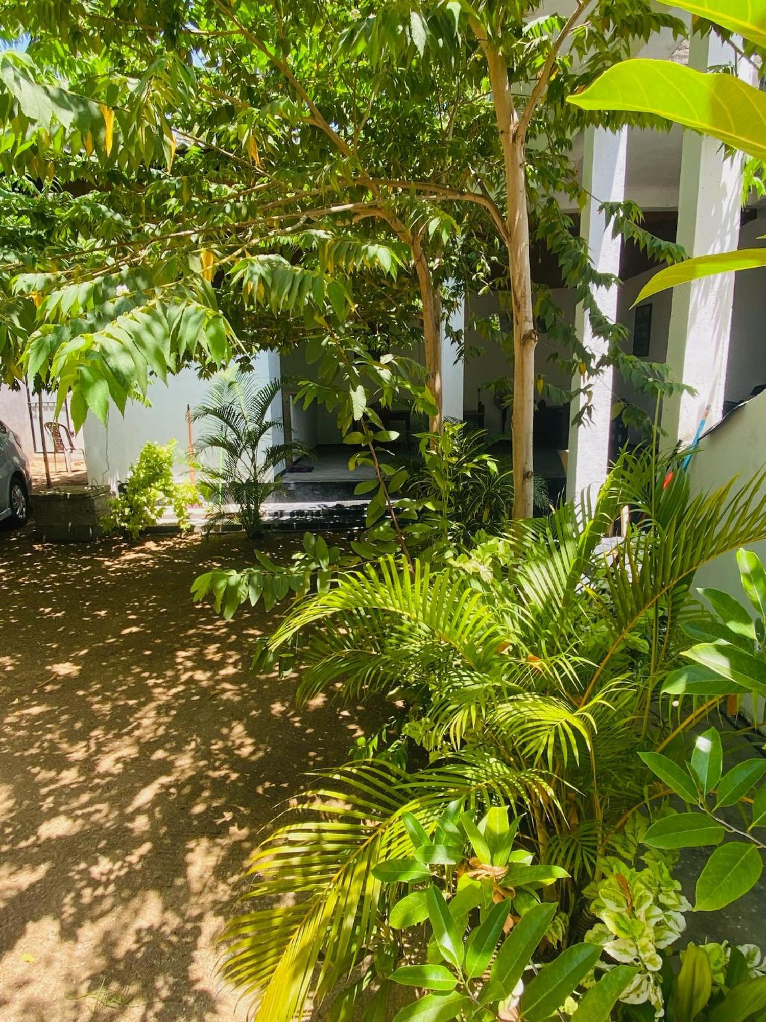 Sea La Vie Hotell Arugam Bay Exteriör bild